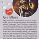 Illustration for article titled A Look At 41 of Irans Best Video Games